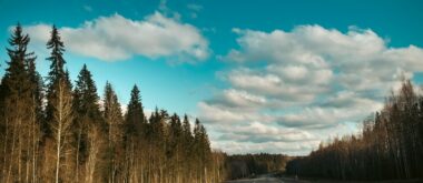 egor-myznik-IuYV_FQiKVw-unsplash