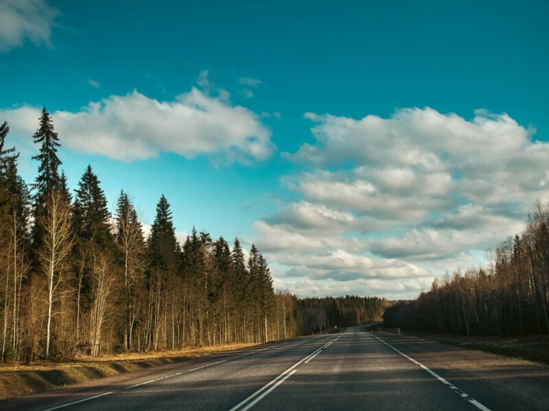 egor-myznik-IuYV_FQiKVw-unsplash